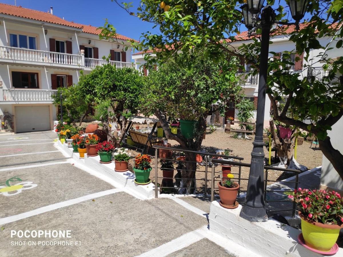 Katerina Apartments Kokkari Ngoại thất bức ảnh